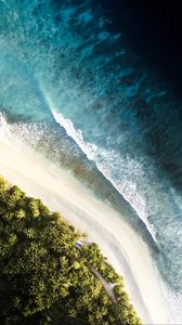Preview wallpaper ocean, palm trees, aerial view, waves, surf, shore