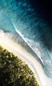 Preview wallpaper ocean, palm trees, aerial view, waves, surf, shore