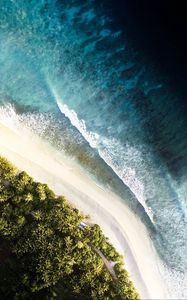 Preview wallpaper ocean, palm trees, aerial view, waves, surf, shore