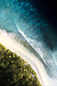 Preview wallpaper ocean, palm trees, aerial view, waves, surf, shore