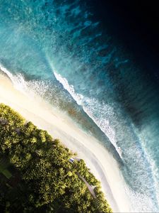 Preview wallpaper ocean, palm trees, aerial view, waves, surf, shore