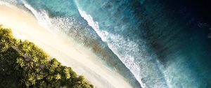 Preview wallpaper ocean, palm trees, aerial view, waves, surf, shore