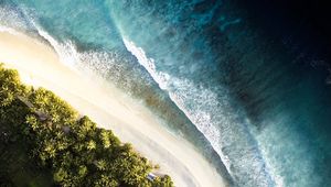 Preview wallpaper ocean, palm trees, aerial view, waves, surf, shore