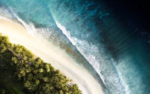 Preview wallpaper ocean, palm trees, aerial view, waves, surf, shore
