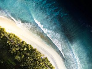 Preview wallpaper ocean, palm trees, aerial view, waves, surf, shore