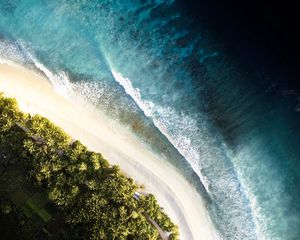 Preview wallpaper ocean, palm trees, aerial view, waves, surf, shore