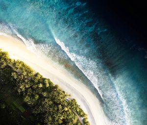 Preview wallpaper ocean, palm trees, aerial view, waves, surf, shore