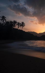 Preview wallpaper ocean, palm trees, sunset, shore, night, tropics