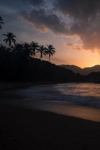 Preview wallpaper ocean, palm trees, sunset, shore, night, tropics