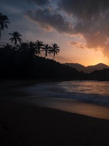 Preview wallpaper ocean, palm trees, sunset, shore, night, tropics