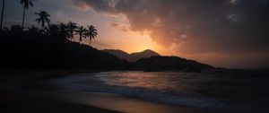 Preview wallpaper ocean, palm trees, sunset, shore, night, tropics