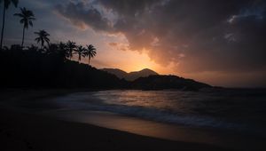 Preview wallpaper ocean, palm trees, sunset, shore, night, tropics