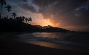 Preview wallpaper ocean, palm trees, sunset, shore, night, tropics