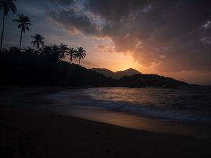 Preview wallpaper ocean, palm trees, sunset, shore, night, tropics