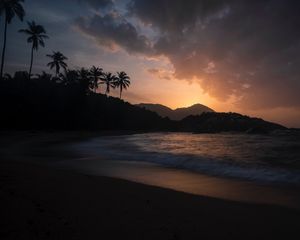 Preview wallpaper ocean, palm trees, sunset, shore, night, tropics