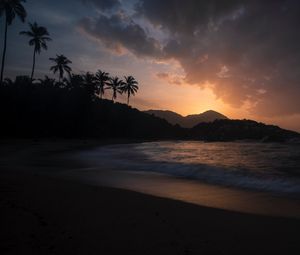 Preview wallpaper ocean, palm trees, sunset, shore, night, tropics