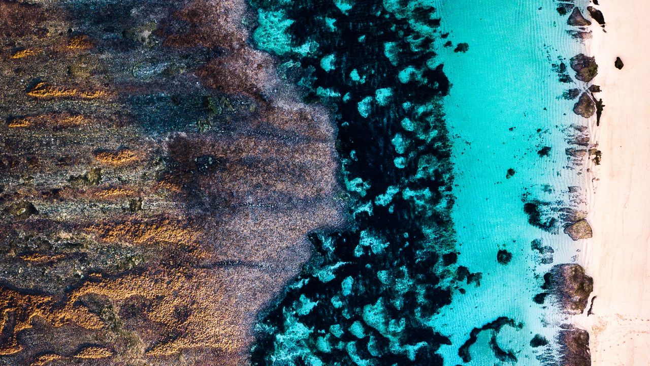Wallpaper ocean, shore, aerial view, sand, water, texture
