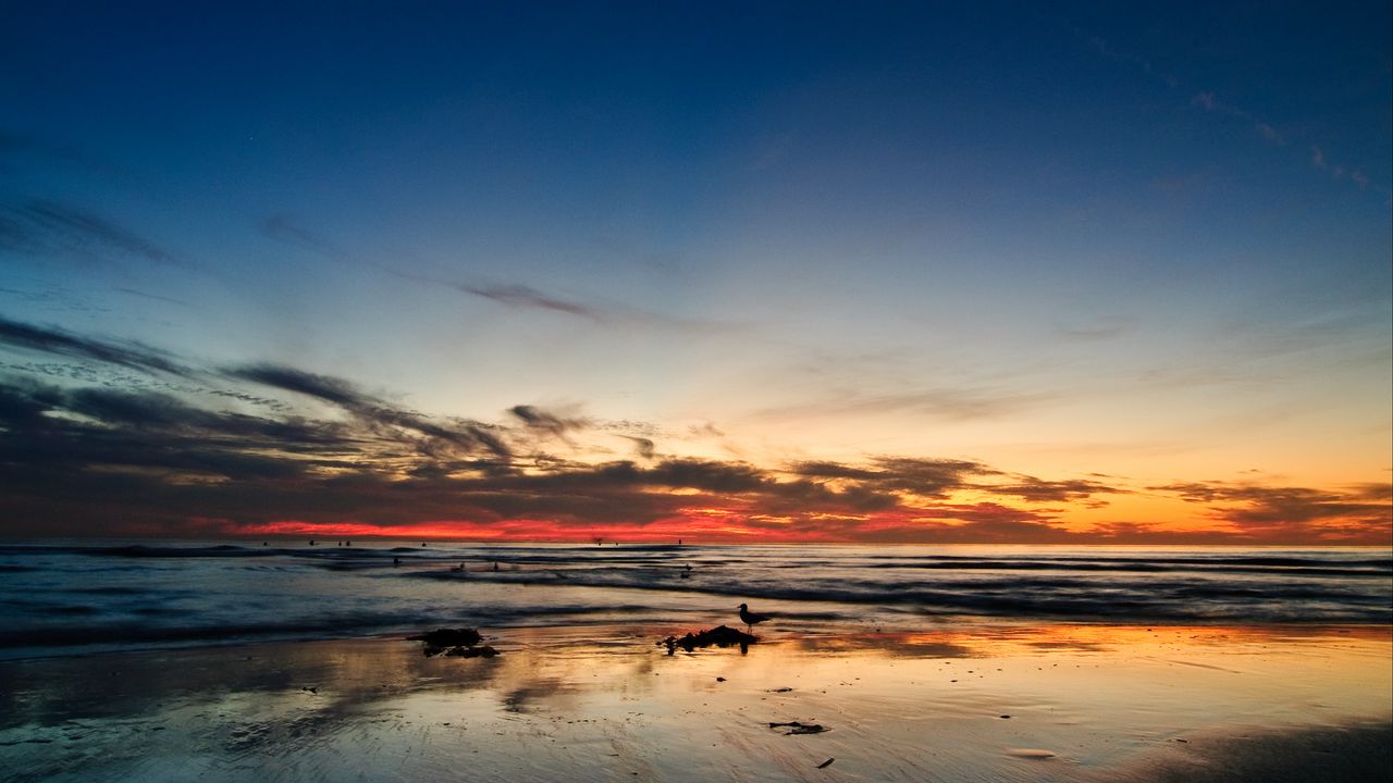 Wallpaper ocean, sunset, horizon, sand, silhouettes, california