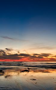 Preview wallpaper ocean, sunset, horizon, sand, silhouettes, california