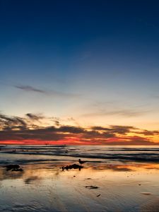 Preview wallpaper ocean, sunset, horizon, sand, silhouettes, california