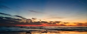 Preview wallpaper ocean, sunset, horizon, sand, silhouettes, california