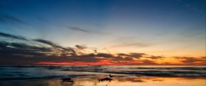 Preview wallpaper ocean, sunset, horizon, sand, silhouettes, california