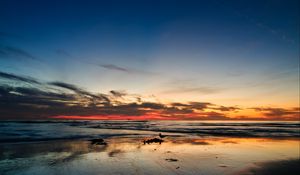 Preview wallpaper ocean, sunset, horizon, sand, silhouettes, california