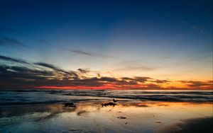 Preview wallpaper ocean, sunset, horizon, sand, silhouettes, california