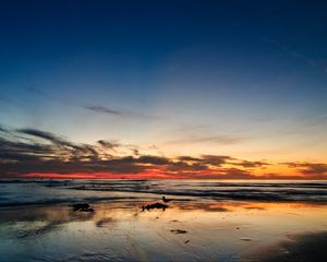Preview wallpaper ocean, sunset, horizon, sand, silhouettes, california