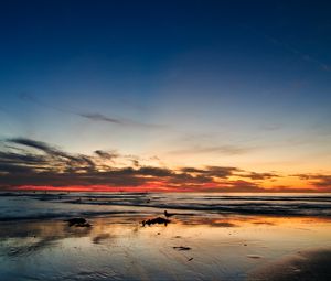 Preview wallpaper ocean, sunset, horizon, sand, silhouettes, california