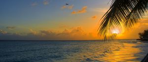 Preview wallpaper ocean, sunset, palm, beach, barbados