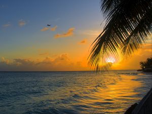 Preview wallpaper ocean, sunset, palm, beach, barbados