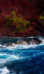 Preview wallpaper ocean, surf, rocks, trees, hawaii