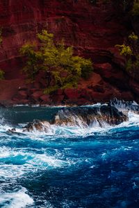 Preview wallpaper ocean, surf, rocks, trees, hawaii