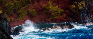 Preview wallpaper ocean, surf, rocks, trees, hawaii