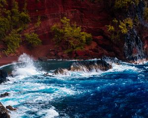 Preview wallpaper ocean, surf, rocks, trees, hawaii