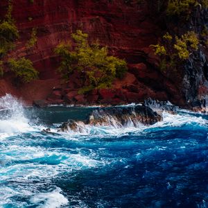 Preview wallpaper ocean, surf, rocks, trees, hawaii