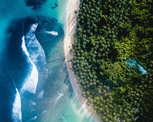 Preview wallpaper ocean, trees, top view, island