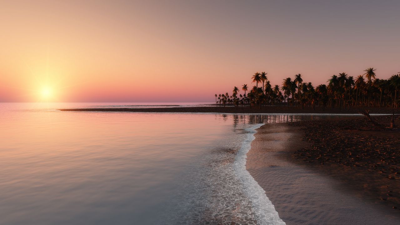 Wallpaper ocean, tropical, palm, coast, sunset, sky