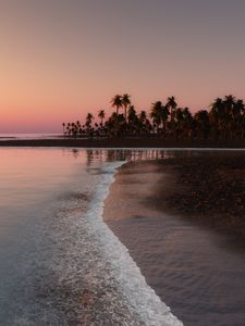 Preview wallpaper ocean, tropical, palm, coast, sunset, sky