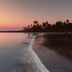 Preview wallpaper ocean, tropical, palm, coast, sunset, sky