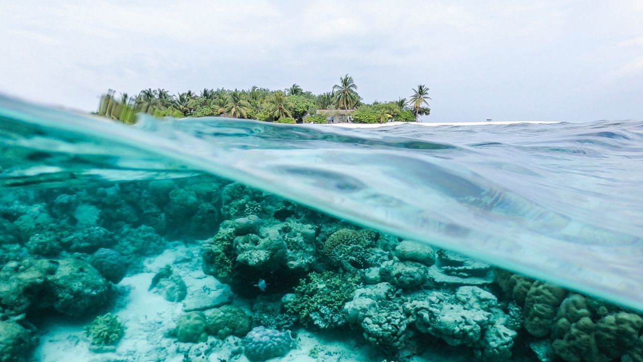 Wallpaper ocean, underwater world, water, island, sky