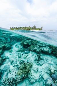 Preview wallpaper ocean, underwater world, water, island, sky