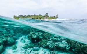 Preview wallpaper ocean, underwater world, water, island, sky