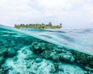 Preview wallpaper ocean, underwater world, water, island, sky