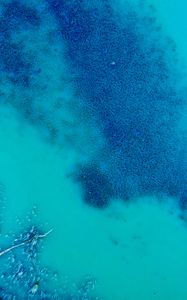 Preview wallpaper ocean, water, algae, aerial view