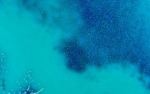 Preview wallpaper ocean, water, algae, aerial view
