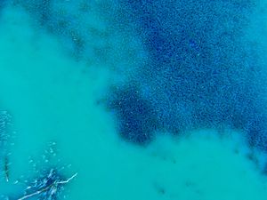 Preview wallpaper ocean, water, algae, aerial view