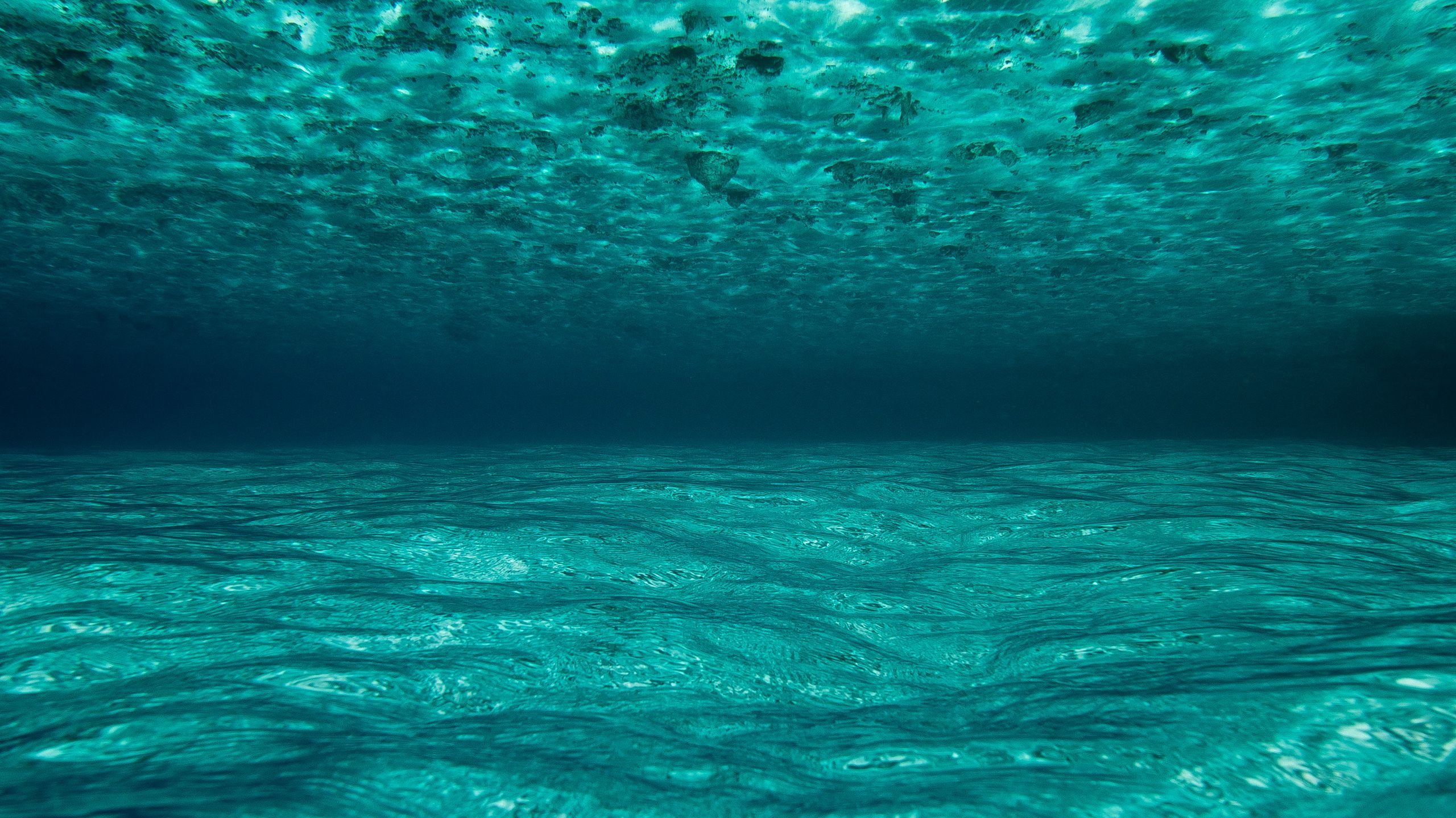 Живые обои 1440. Океан под водой. Море под водой. Дно океана.