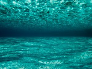 Preview wallpaper ocean, water, underwater, maldives
